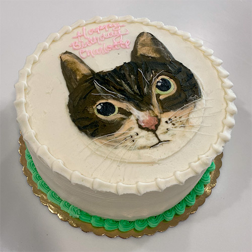 a round cake that has the face of a cat on the top